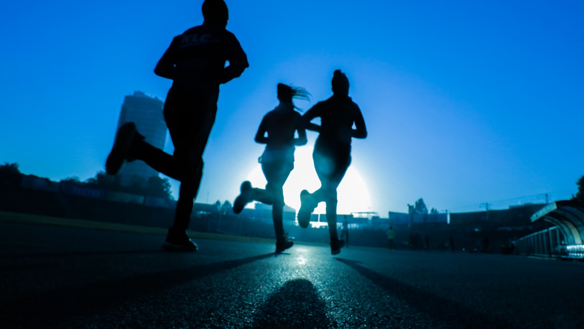 La carrera por dominar el código